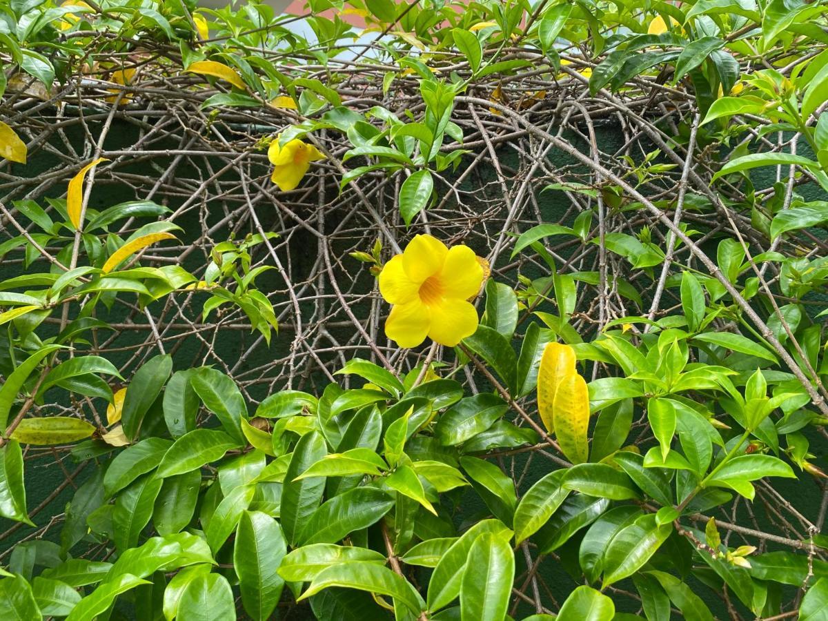 公寓 Flores Da Aldeia Porto Seguro