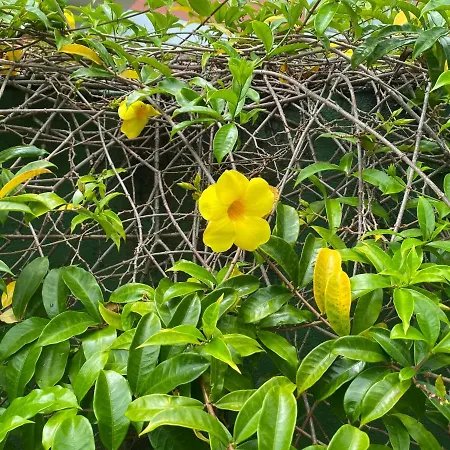 Flores Da Aldeia Porto Seguro Exterior photo